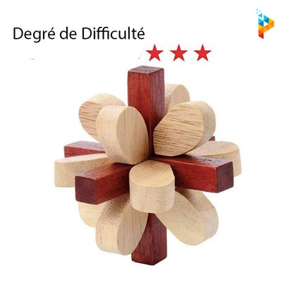 Casse-Tête QI 3D Puzzle en bois énigme